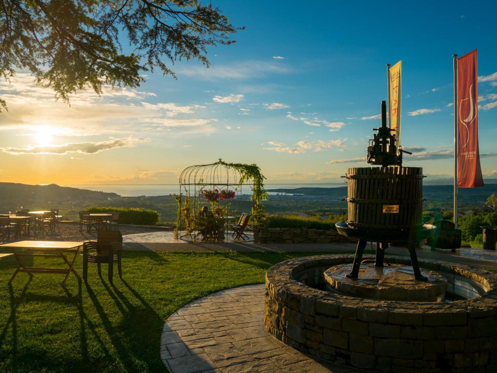 מארזיגה Wine Paradise - Glamping Resort מראה חיצוני תמונה